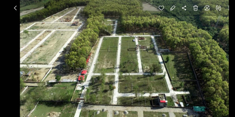 Residential Plot 170 Sq. Yards for Sale in Pondha, Dehradun